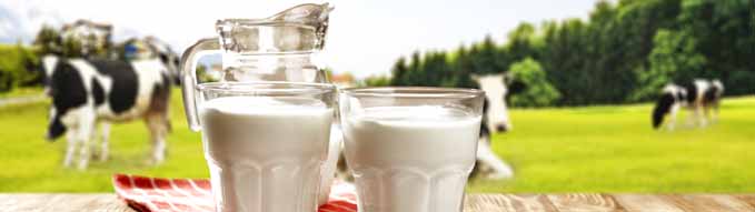 milk and landscape with green grass