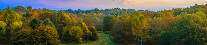 Trail through Dog Hill at Cherokee Park in Louisville KY. Cherokee Park is a Frederick Law Olmsted designed park.